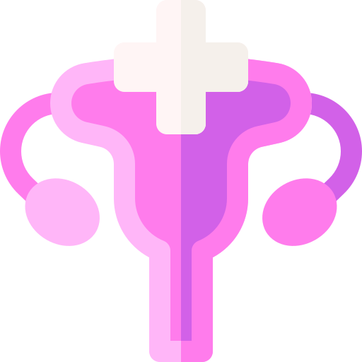 <p>Why Would you need a <strong>+ Hysteroscopy</strong> ?</p>